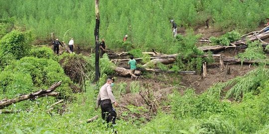 16 Hektar ladang ganja dimusnahkan di Aceh Besar