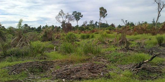 Kepemilikan tanah RI parah, TNI Polri cuma punya lahan 3.000 hektar