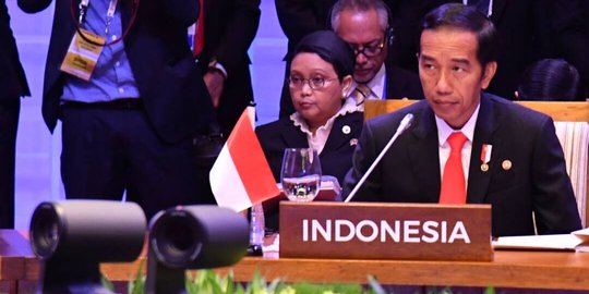 Jokowi minta dukungan Lithuania agar sawit RI tak didiskriminasi