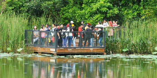 Presiden Jokowi luncurkan prangko peringatan 2 abad Kebun Raya Bogor