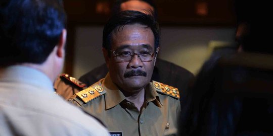 Djarot sebut fungsi RPTRA sama dengan ruang terbuka hijau