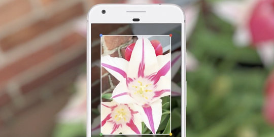 Google Lens akan buat smartphone Anda miliki kamera 'super-cerdas'