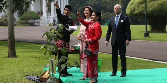 Punya keunggulan soal kehutanan, Swedia minat garap hutan Indonesia