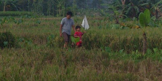 Sederet kendala wujudkan kedaulatan pangan di Indonesia