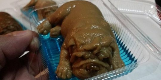 Puding anak anjing ini jadi hits sekaligus kontroversi di 