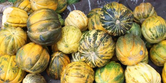 Blewah, buah penyegar dahaga saat berbuka puasa
