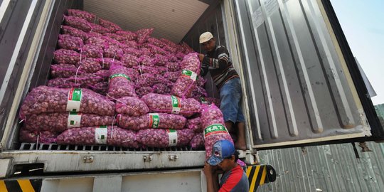 Satgas Pangan temukan dugaan penimbunan bawang putih asal China