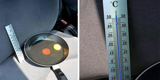 Ini sebabnya kamu tidak boleh meninggalkan makhluk hidup di mobil