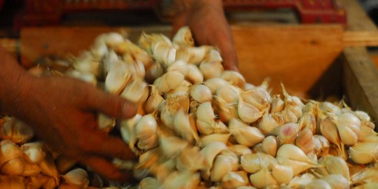 Turunkan harga, 500 ton bawang putih impor siap disebar ke pasar