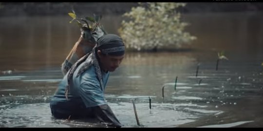 Cerita sosok tangguh di balik reboisasi hutan mangrove Brebes