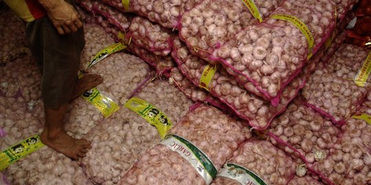 Tekan harga, Kemendag pasok 20 ton bawang putih di Jakarta