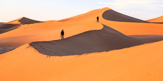 Kehausan di Gurun Sahara, 44 pengungsi Afrika meregang nyawa