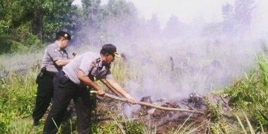 4 Hektar lahan terbakar di Riau