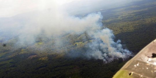 40 Ton bom air dijatuhkan padamkan kebakaran hutan di Riau
