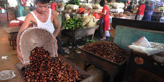 Harga jengkol mulai alami penurunan