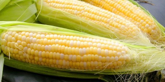 8 Alasan yang bikin jagung patut dijadikan camilanmu