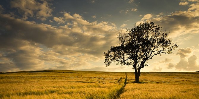 Kisah Nabi Hud dan orang-orang kaya sombong penerima azab 