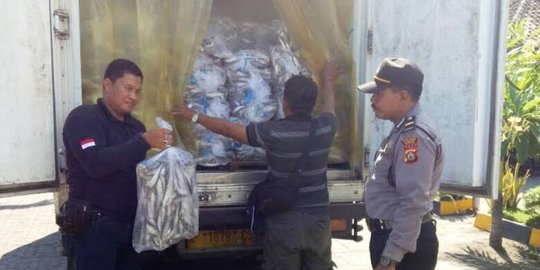 Polsek Kawasan Laut Gilimanuk gagalkan penyelundupan 6 ton ikan