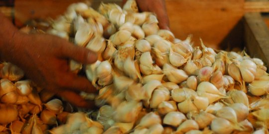 Mendag: Juni, harga bawang putih maksimal Rp 30.000 per Kg