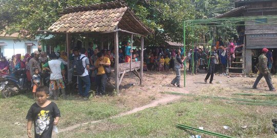 Pencari rumput di Banyuasin tewas diterkam 5 ekor buaya