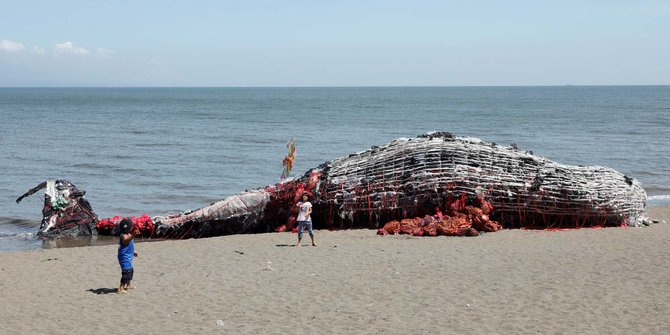 Bangkai Paus Sepanjang 20 Meter Terdampar Di Pantai Bunton