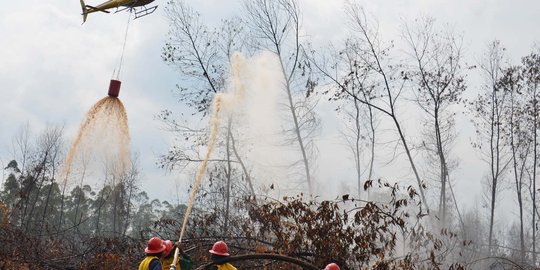 BMKG deteksi 5 titik api di 4 kabupaten di Riau