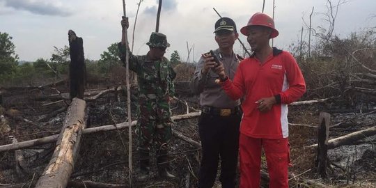 42 Hektare Taman Nasional di Riau ditebas dan dibakar