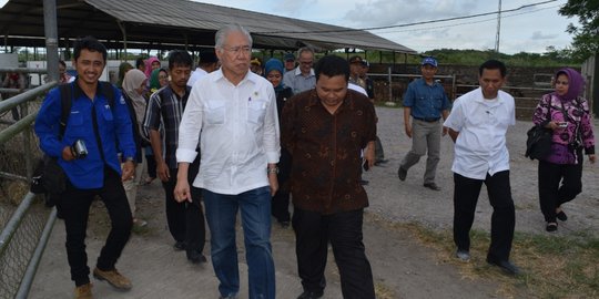 Pasar Kramat Jati terbakar, pemerintah siapkan lapak sementara