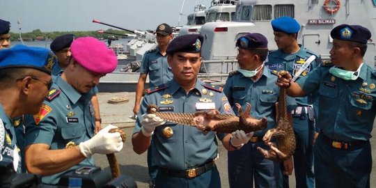 TNI AL gagalkan penyelundupan 1 ton tenggiling ke Malaysia