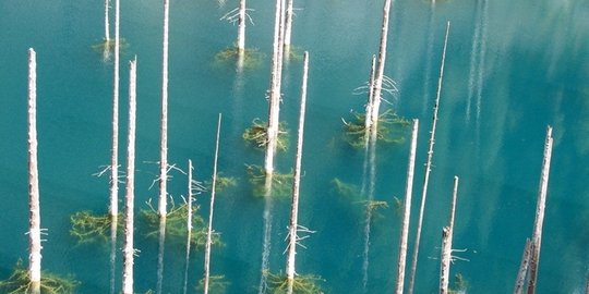 danau kaindy kazakhstan