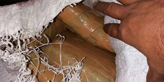 Tabrakan beruntun, truk pembawa 549 bal ganja tertangkap