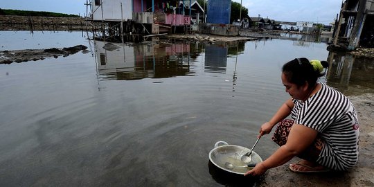 Ada atau tidak reklamasi, teluk Jakarta sudah tercemar sejak lama