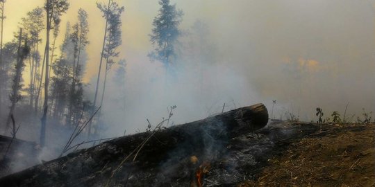 Tiga Helikopter TNI AU dikerahkan padamkan karhutla di Bengkalis