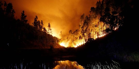 Ganasnya kebakaran hutan di Portugal yang tewaskan 25 orang