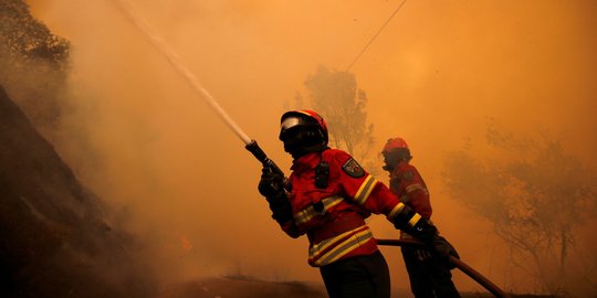 Aksi heroik petugas damkar jinakkan kebakaran hutan Portugal