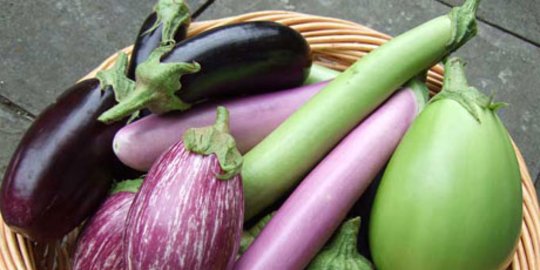 4 efek samping makan sayur yang sebelumnya tak kamu ketahui