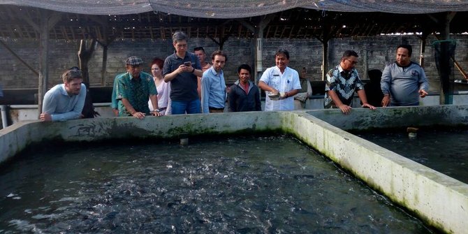 10 praktisi perikanan belanda belajar budidaya ikan di 10 praktisi perikanan belanda belajar budidaya ikan di