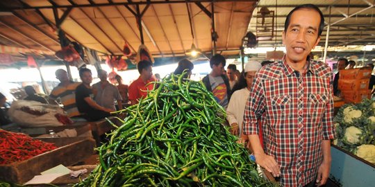 Menteri klaim cuma di era Jokowi harga pangan saat Lebaran tak naik