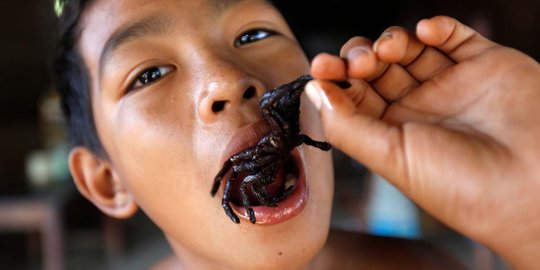 Tarantula goreng, kuliner ekstrem paling nikmat khas Kamboja