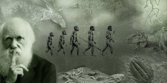 Turki larang sekolah ajarkan teori Darwin soal evolusi