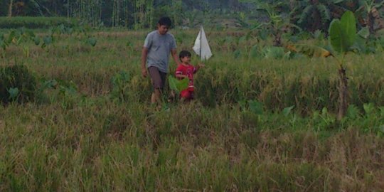 Risiko dihadapi petani Indonesia, termasuk ancaman perubahan iklim