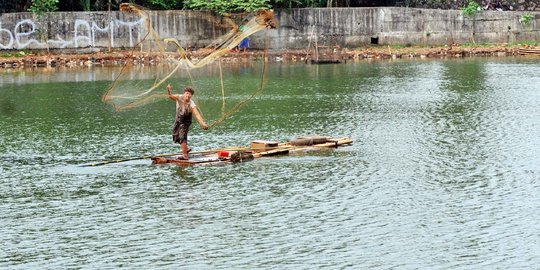 Pemerintah ingatkan potensi serangan virus pada nila dan mujair