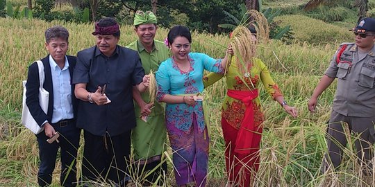 Bupati Ni Putu Eka berbagi kunci sukses pembangunan di Tabanan