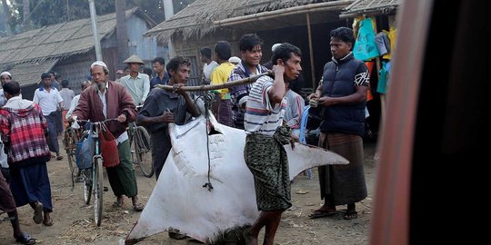 Polisi malah lari saat muslim Rohingya dihakimi massa hingga tewas