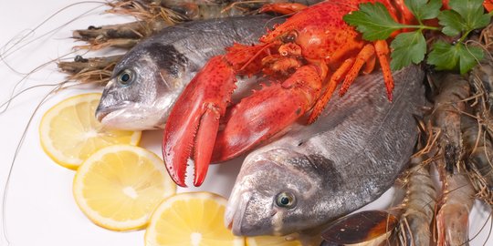 Menteri Susi sebut 30 persen bahan baku seafood hasil curian