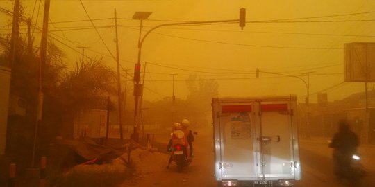 Kaji sejak 20 tahun lalu, UGM sebut Palangkaraya cocok jadi Ibu Kota