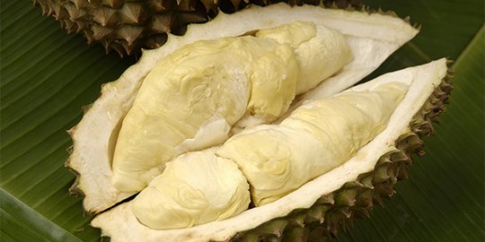 Gara-gara cari durian, kakek di Singapura tersesat 4 hari di hutan