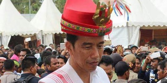 Jokowi tantang koperasi kelola ratusan ribu hektare lahan