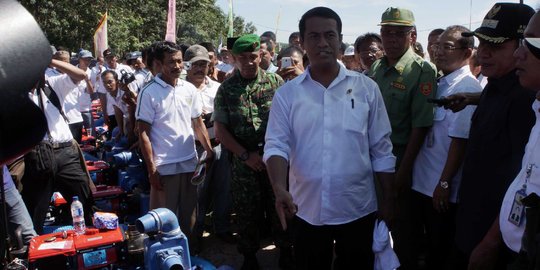 Pemerintah Jokowi berambisi jadi penghasil kopi terbesar dunia