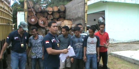 Bawa kayu dua truk tanpa dokumen, 6 orang ditangkap di Medan